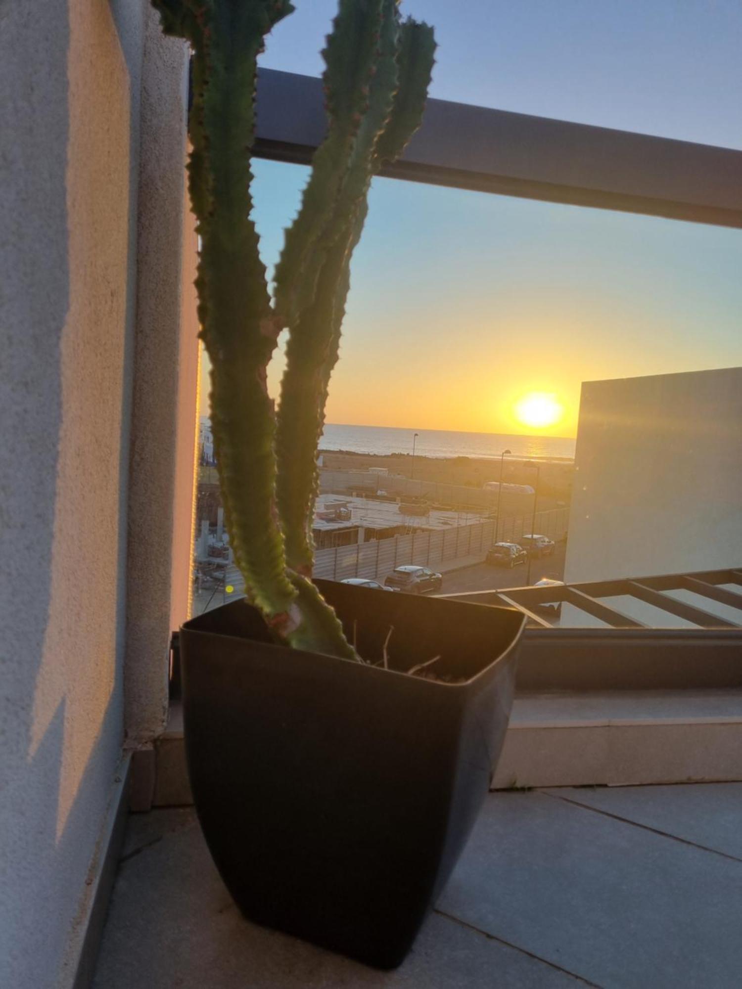 Azotea De Cotillo 外观 照片